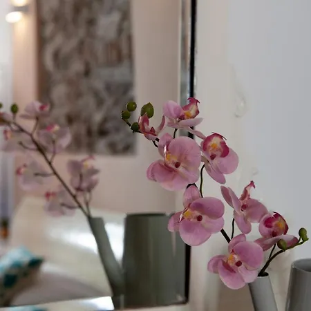Guest house Ciao Bella Divas